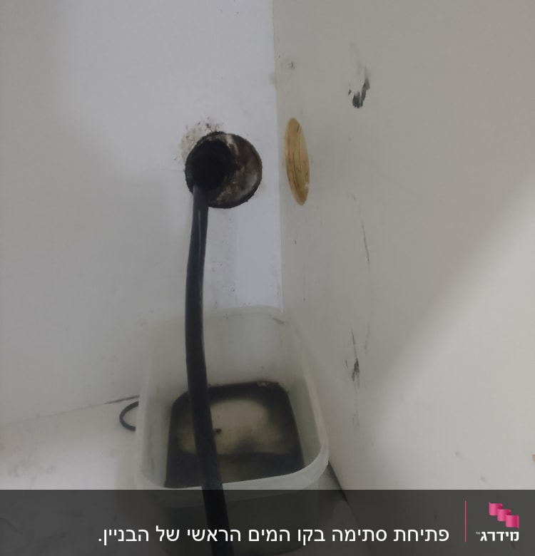 צינור שחור בתוך דלי עם מים מלוכלכים